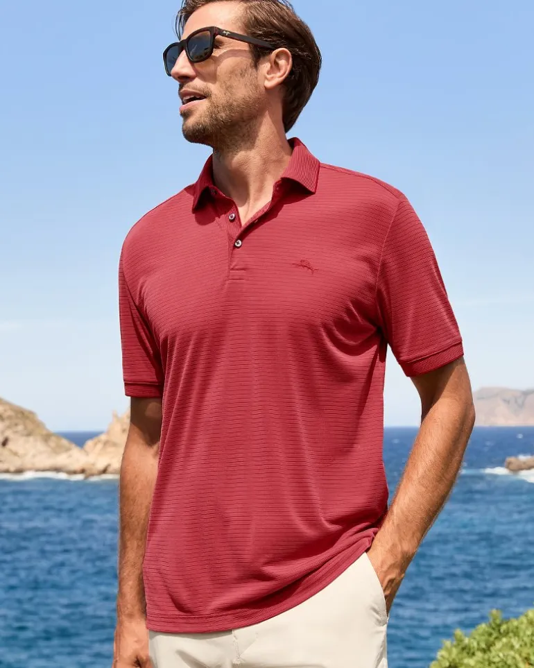 Bay Stripe IslandZone® Polo