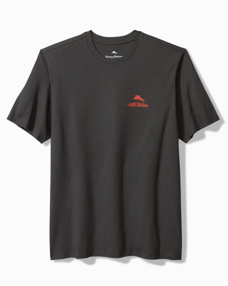 Hazy Conditions Graphic T-Shirt