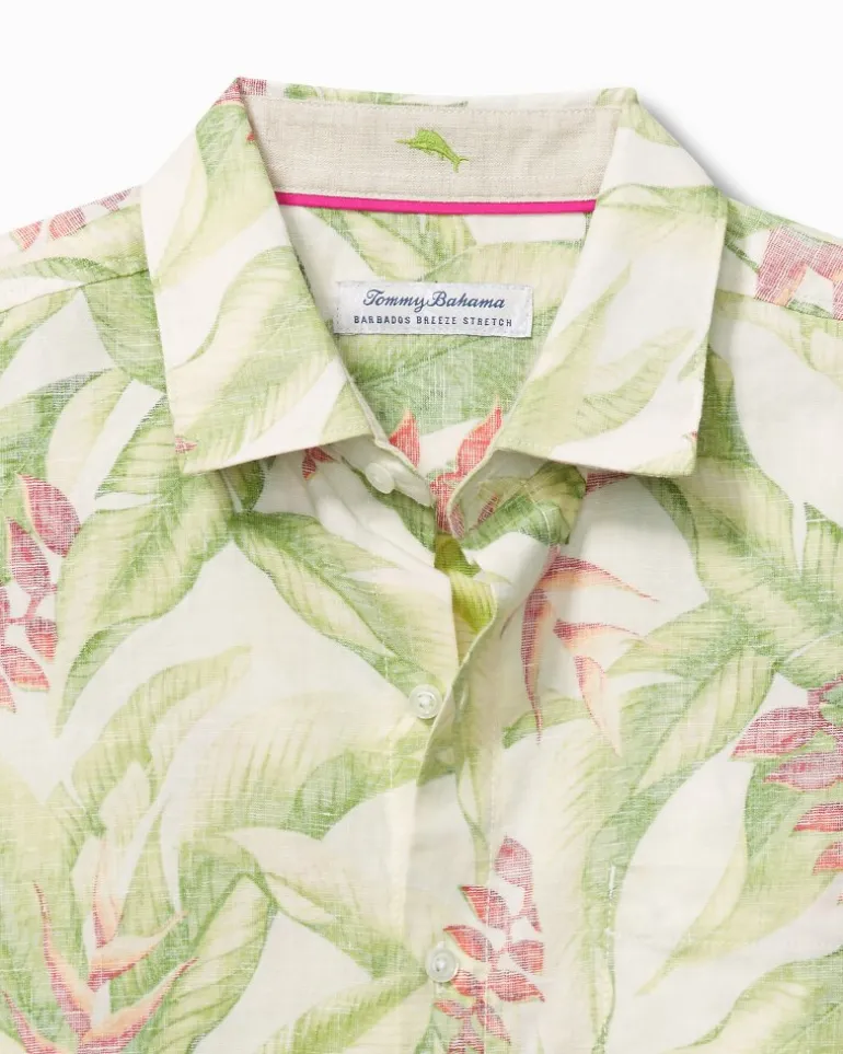 Men's Barbados Breeze Calypso Fronds Shirt