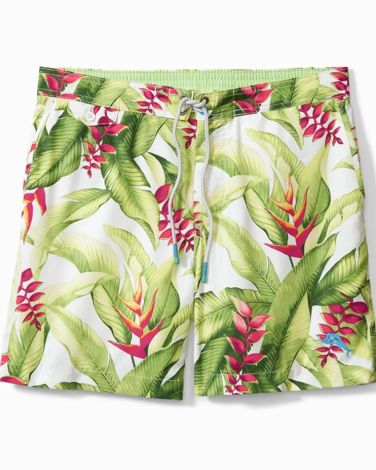 Men's Calypso Fronds 6-Inch Board Shorts