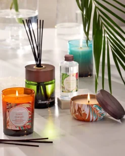 Pineapple Cilantro Reed Diffuser