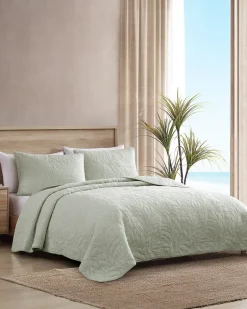 Solid Costa Sera 2-Piece King Quilted Sham Set