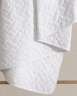 Solid King Quilt/Sham Set